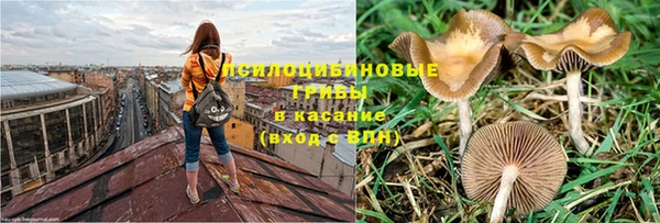 кокс Абинск